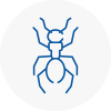 Ant Removals In West End